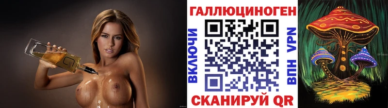 Псилоцибиновые грибы Psilocybe  Купить где  Александровское 